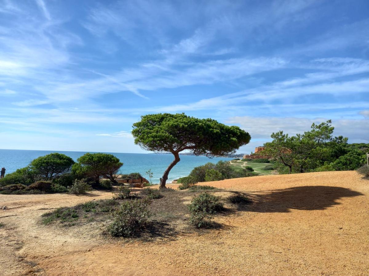 Paradise On The Beach Albufeira Bagian luar foto