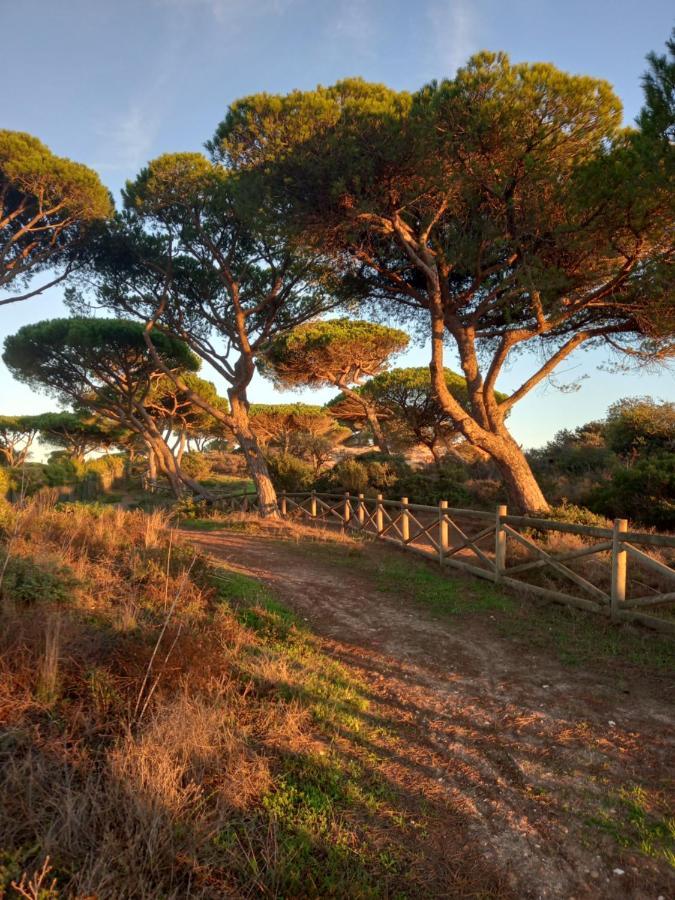 Paradise On The Beach Albufeira Bagian luar foto